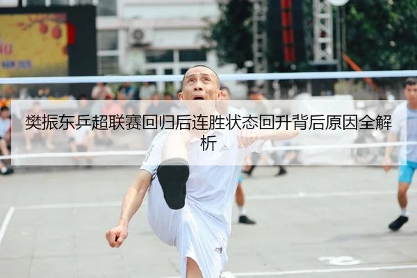 樊振东乒超联赛回归后连胜状态回升背后原因全解析